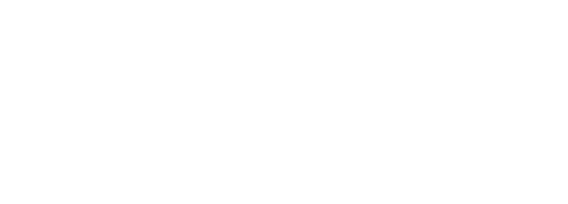 DOMUS Brickell Park Logo